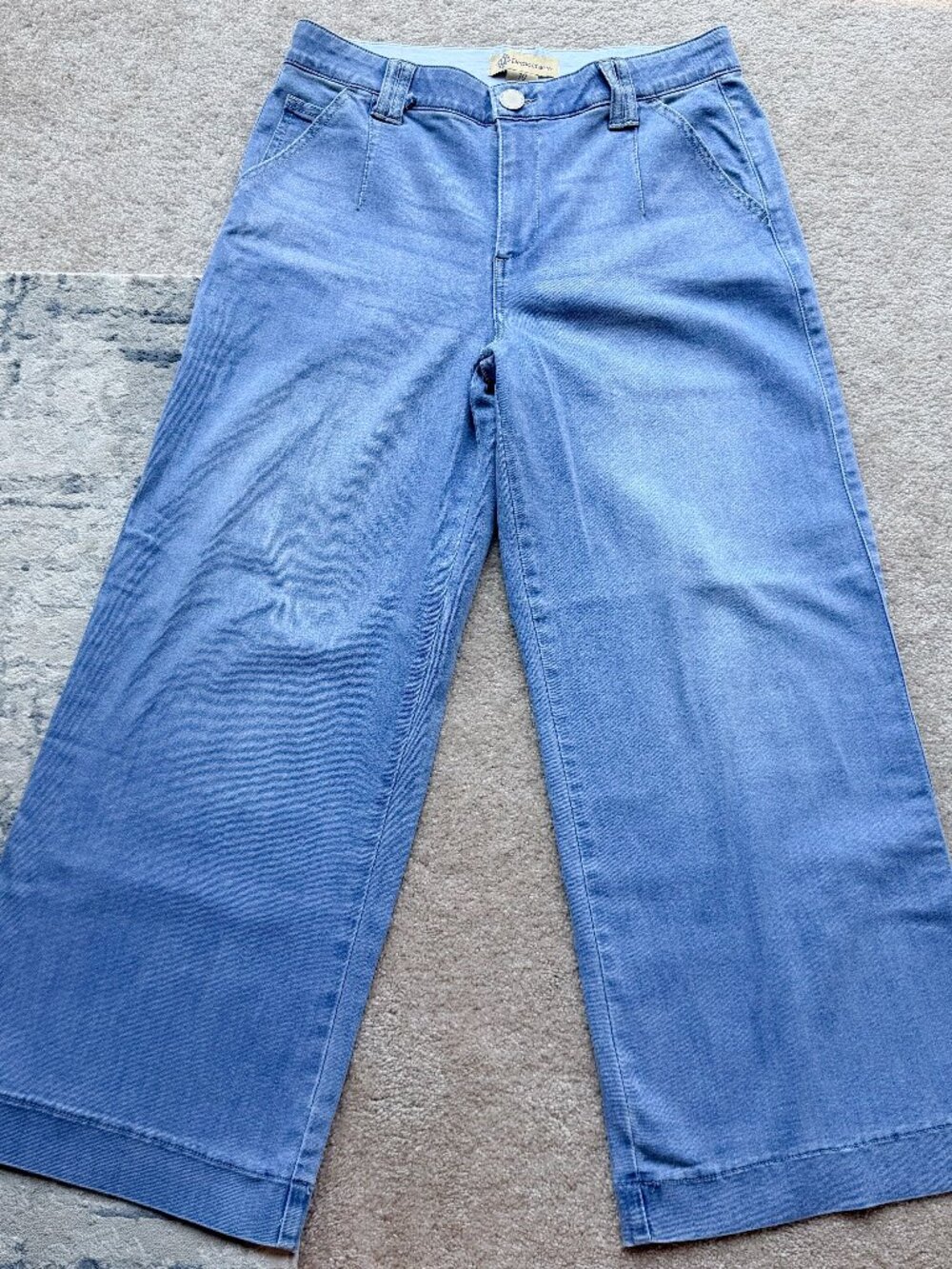 Democracy Light Wash "Ab" technology Wide Leg High Rise - Size 10 - Picture 2 of 7